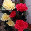 Красная роза 3 бутона - Секонд хенд магазин  "Happy Second" Екатеринбург