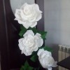 Белая роза 3 убтона - Секонд хенд магазин  "Happy Second" Екатеринбург