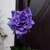 Роза сиреневая с нераскрытым бутоном - Секонд хенд магазин  "Happy Second" Екатеринбург