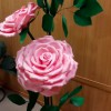 Роза нежно-розовая "Пышная" 3 бутона - Секонд хенд магазин  "Happy Second" Екатеринбург