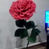 Роза красная 1 бутон - Секонд хенд магазин  "Happy Second" Екатеринбург