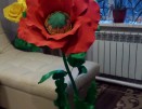 Мак - Секонд хенд магазин  "Happy Second" Екатеринбург