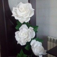 Белая роза 3 убтона - Секонд хенд магазин  "Happy Second" Екатеринбург