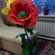 Мак - Секонд хенд магазин  "Happy Second" Екатеринбург